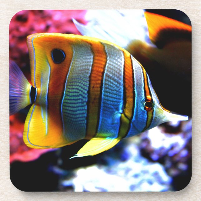 Porta-copo Peixes (Frente)