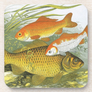 Porta-copo Peixes Dourados Aquáticos Antigos Koi, Vida Marinh