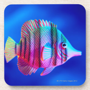 Porta-copo Peixes tropicais
