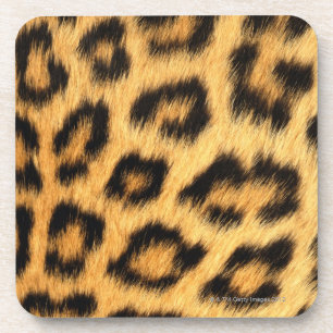 Porta-copo Pele de Jaguar