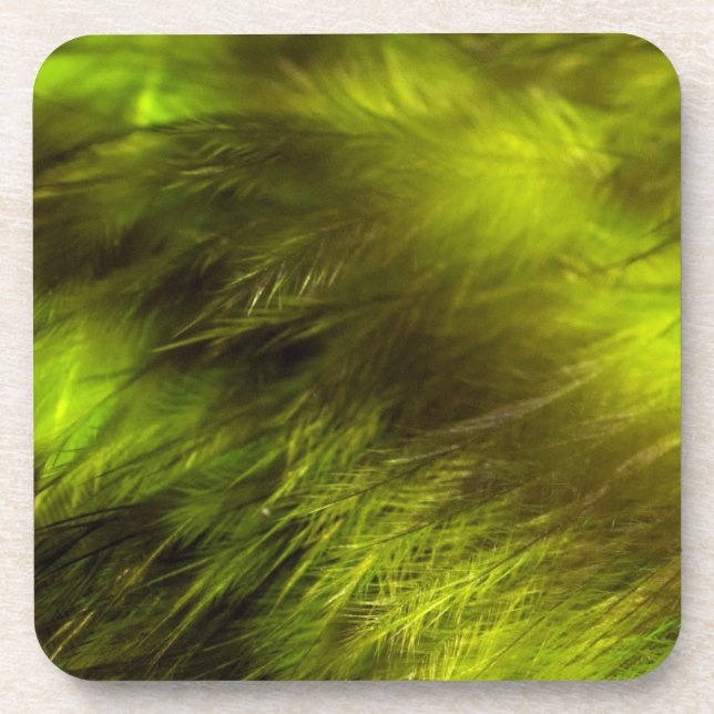 Porta-copo Penas Amarelas (Frente)