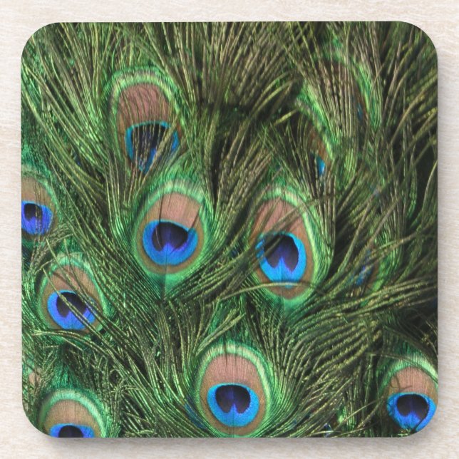 Porta-copo Penas de Peacock (Frente)