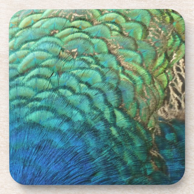 Porta-copo Penas de Peacock I Abstrato (Frente)