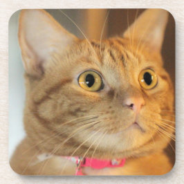 Porta-copo Penny bonito