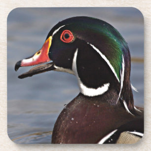 Porta-copo Perfil de um pato-do-mato