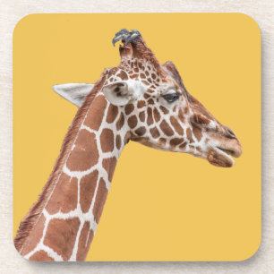 Porta-copo perfil Giraffe
