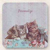 Personalize os Kittens na Caixa de Vintage