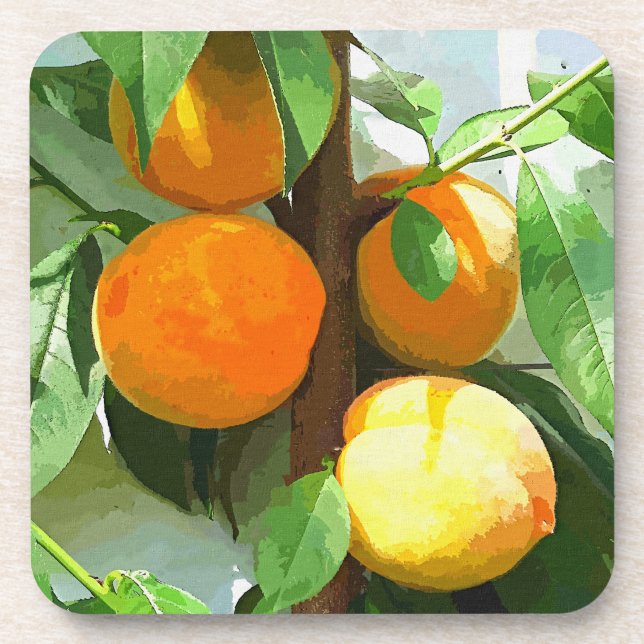 PORTA-COPO PÊSSEGOS (Frente)