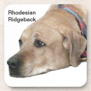 Porta-copo Pet Ridgeback Dog Picture