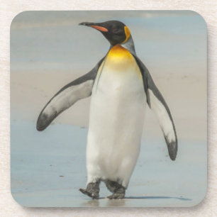 Porta-copo Pinguim caminhando na praia