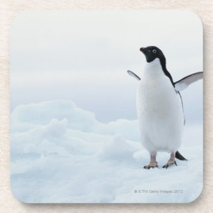 Porta-copo Pinguim de Adelie, a Antártica