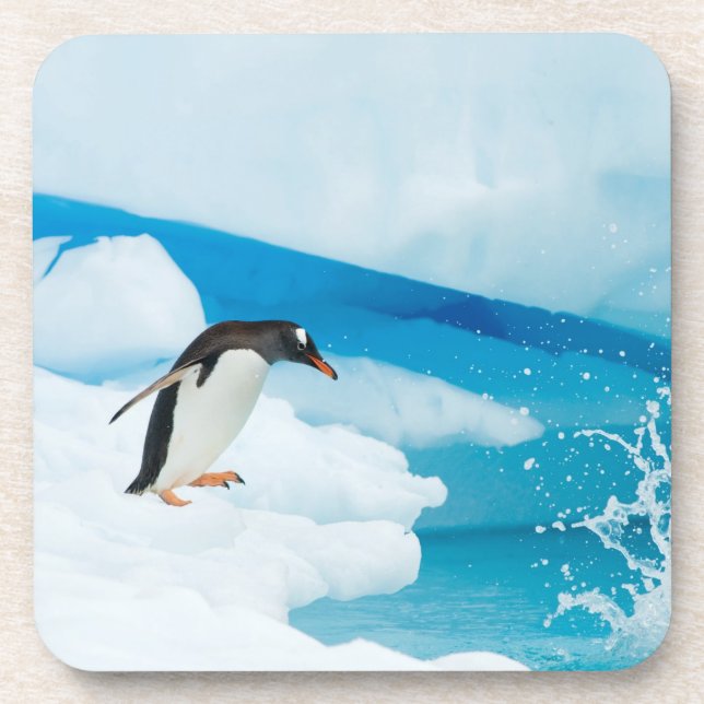 Porta-copo pinguim-de-gentoo, Pygoscelis Papua, saltando (Frente)
