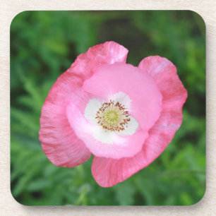 Porta-copo Pink Poppy