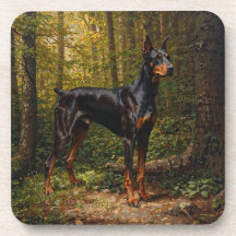 Pinscher Dobermann