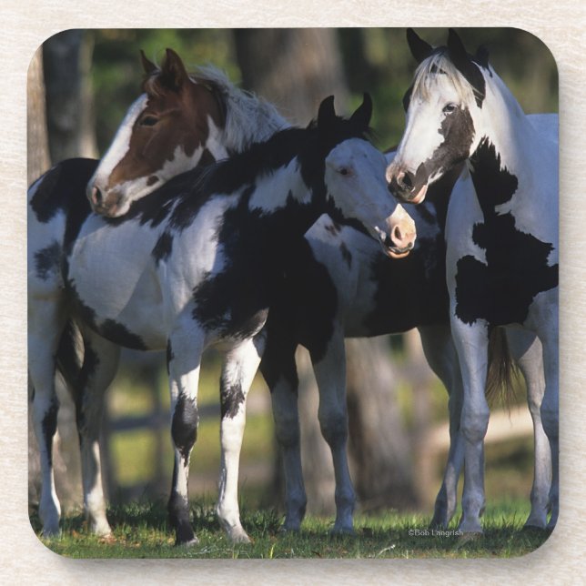 Porta-copo Pinte cavalos (Frente)