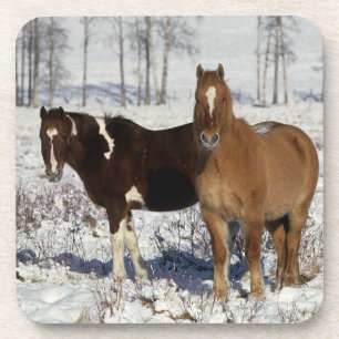 Porta-copo Pinte cavalos na neve
