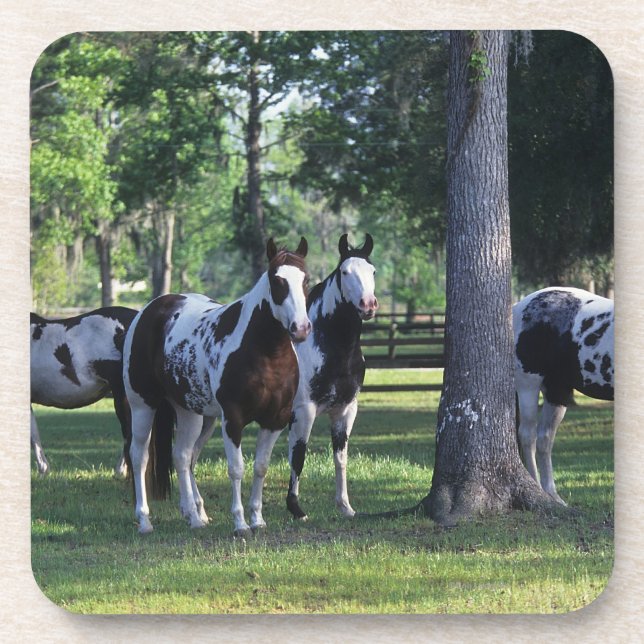 Porta-copo Pinte cavalos nas árvores (Frente)