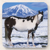Pinte o cavalo que está na neve