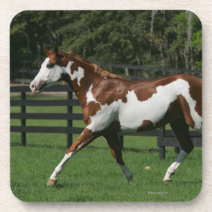 Porta-copo Pinte o cavalo que funciona 1