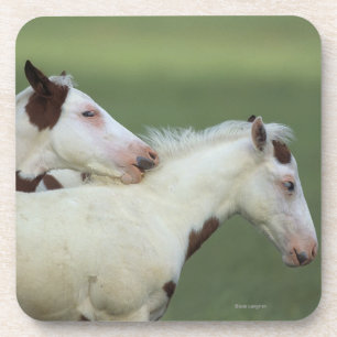 Porta-copo Pinte o jogo dos potros
