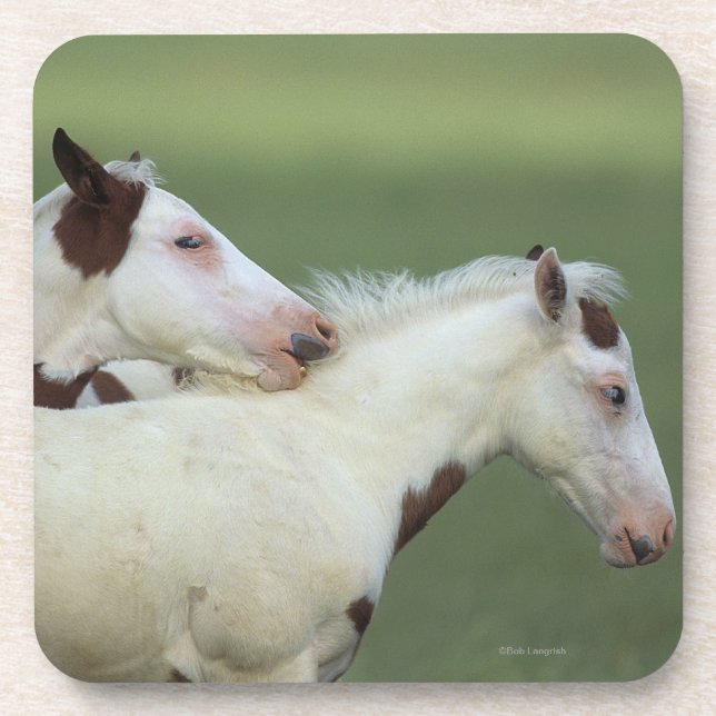 Porta-copo Pinte o jogo dos potros (Frente)