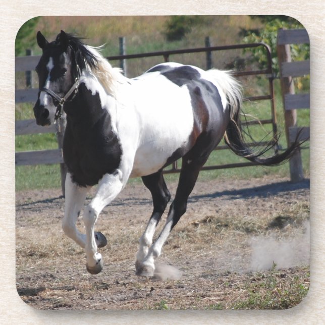 Porta-copo Pinto Paint Horse (Frente)