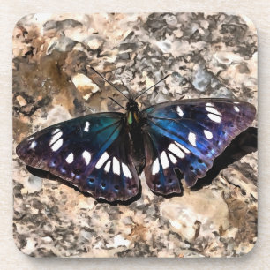 Porta-copo Pintura da Borboleta Azul Almirante Branco do Sul