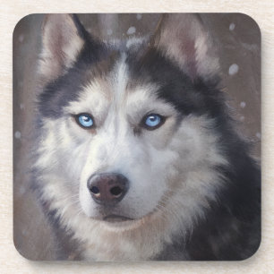 Porta-copo Pintura Siberian Husky