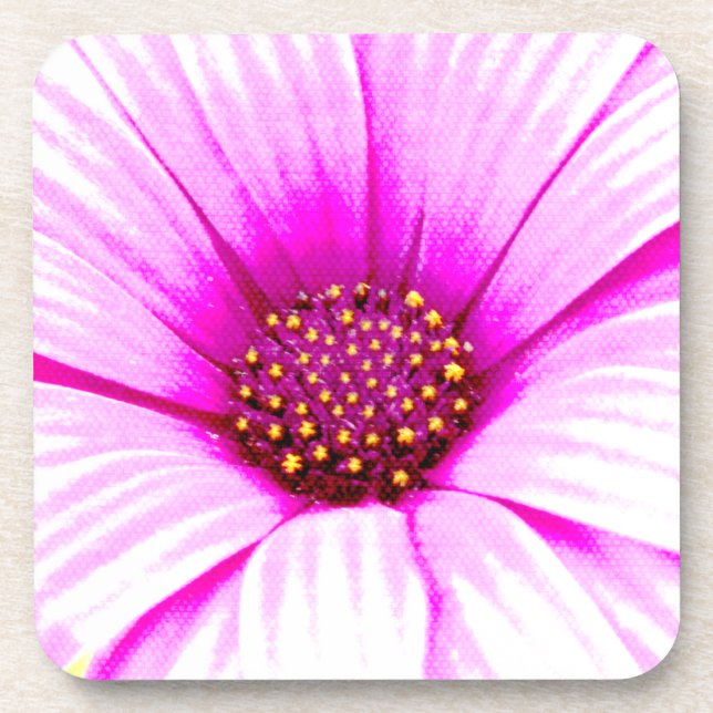 Porta-copo Pires de Flor de Margarida Rosa (Frente)