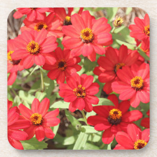 Porta-copo Pires de Flor de Zínia Vermelha