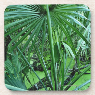 Porta-copo Plantas tropicais na lagoa de sal