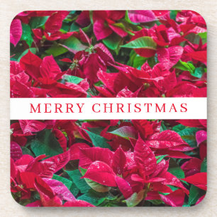 Porta-copo Poinsettia vê portas copos