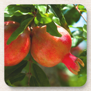 Porta-copo Pomegranato