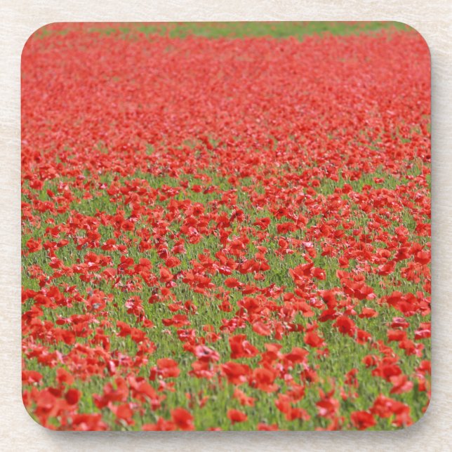 Porta-copo Poppies - milhares! (Frente)