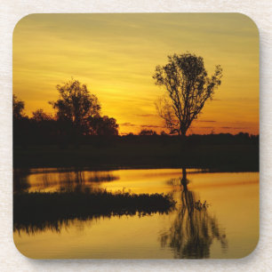 Porta-copo Pôr do sol, Yellow Water Billabong