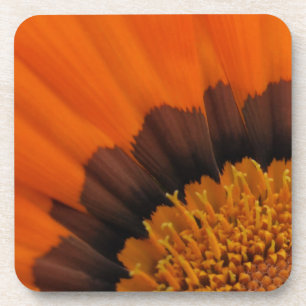 Porta-copo Portas copos alaranjadas do Gazania