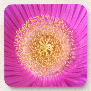 Porta-copo Portas copos cor-de-rosa brilhantes da flor