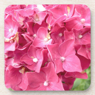 Porta-copo Portas copos cor-de-rosa do hydrangea
