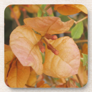Porta-copo Portas copos da flor do Bougainvillea