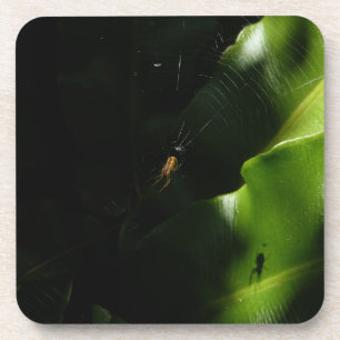 Porta-copo Portas copos de Aranha Pequenas