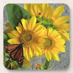 Porta-copo Portas copos de Borboleta Sunflower e Monarch