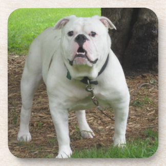 Porta-copo Portas copos de Bullodg