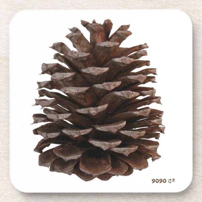 Porta-copo Portas copos de florestas (Frente)