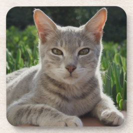 Porta-copo Portas copos de Gato de cinza