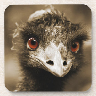 Porta-copo Portas copos De Olho De Ostras