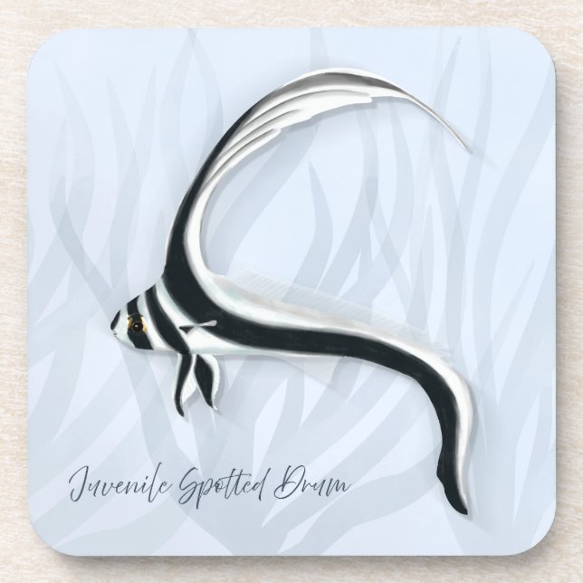 Porta-copo Portas copos de peixes tropicais (Frente)