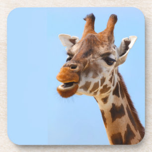 Porta-copo Portas copos de Retrato Giraffe