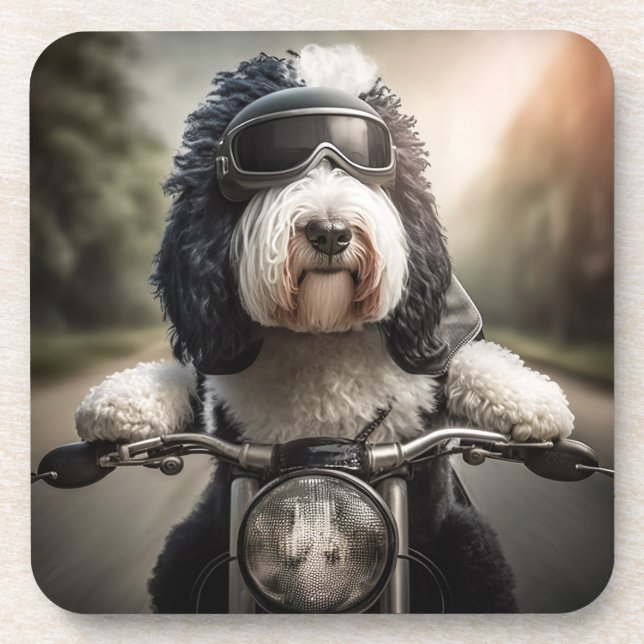 Porta-copo Portas copos de Sheepadoodle Biker (Frente)