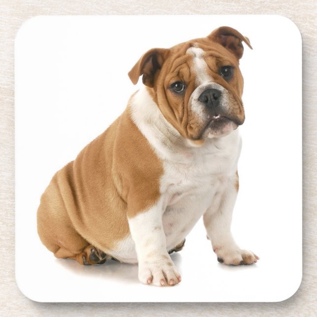 Porta-copo Portas copos do buldogue (Frente)