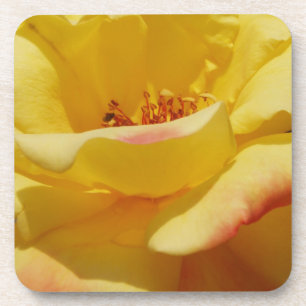 Porta-copo Portas copos do rosa amarelo